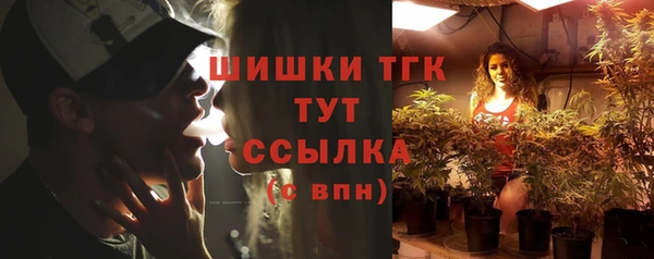 прущие грибы Ростов