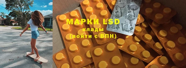 прущие грибы Ростов