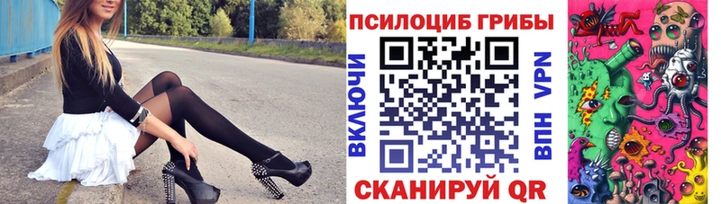Галлюциногенные грибы Psilocybine cubensis  купить  цена  Баймак 